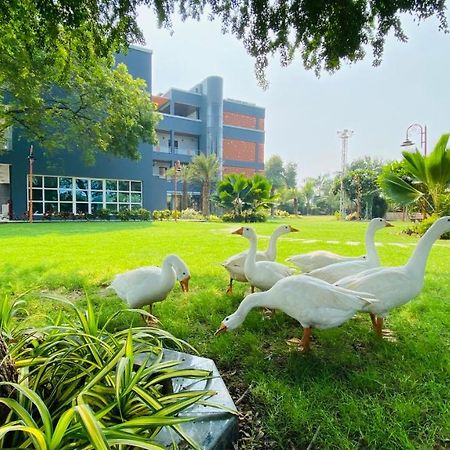 Krishna Riverside Resort Vasad Buitenkant foto