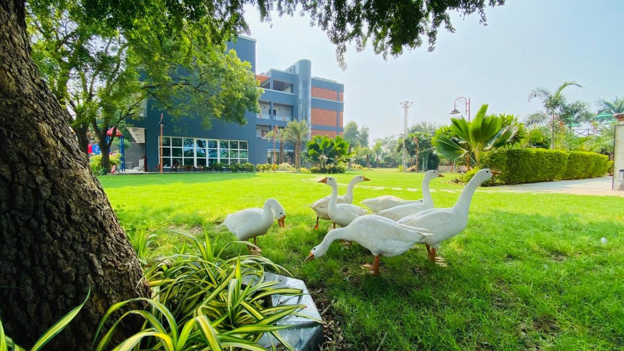 Krishna Riverside Resort Vasad Buitenkant foto